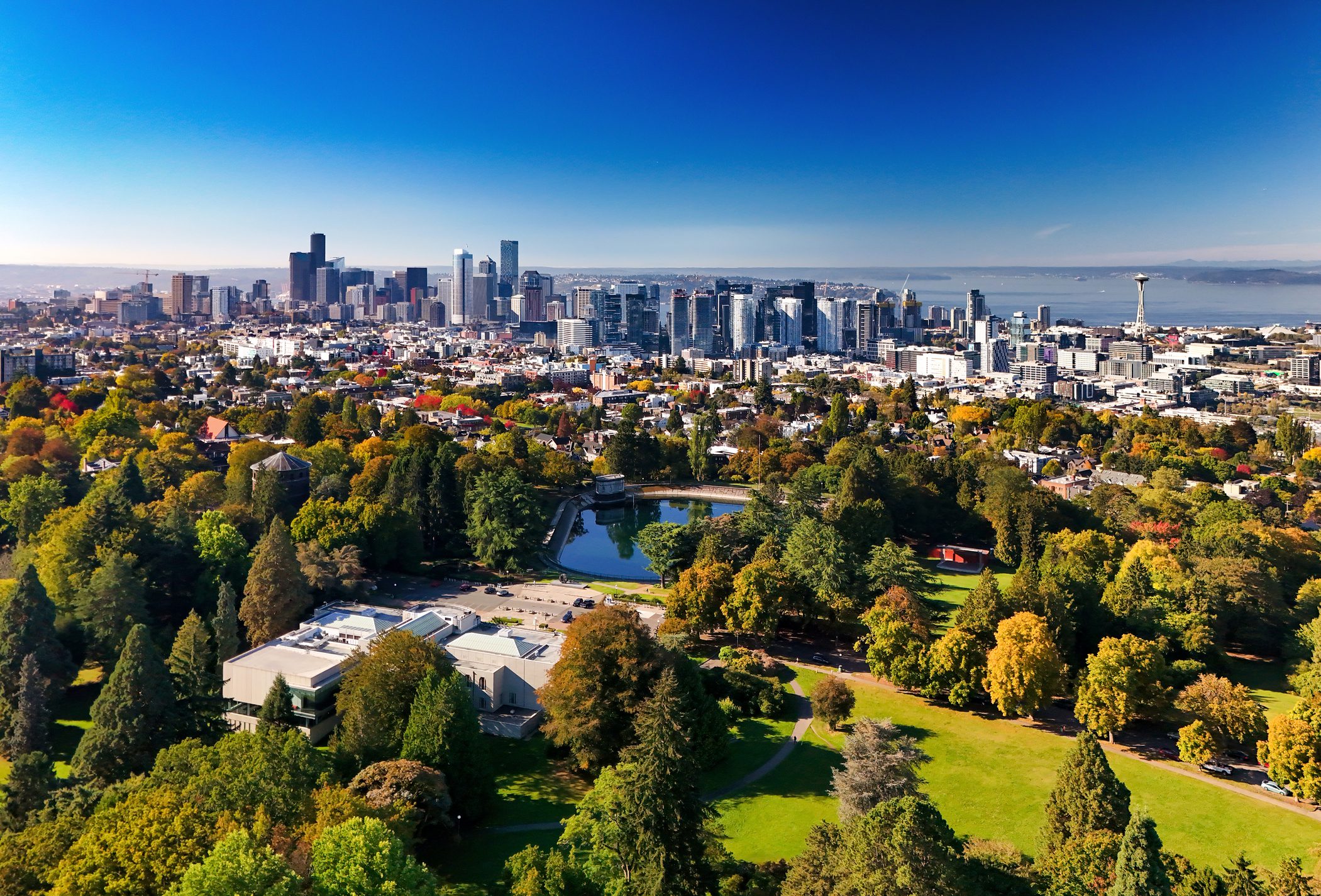 Aerial view of city and park